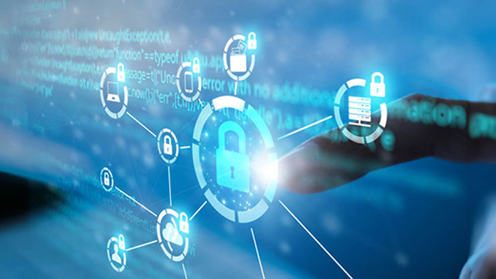 Vulnerability Insurance Top 5 Vulnerabilities Exploited in Insurance Cyber Attacks: A ...